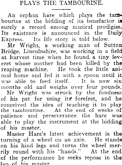 Article image