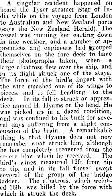 Article image