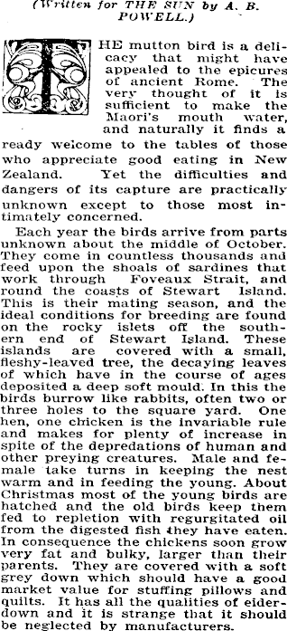 Article image