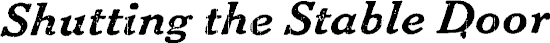 Article image