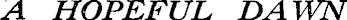 Article image