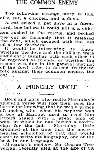 Article image