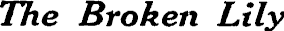 Article image
