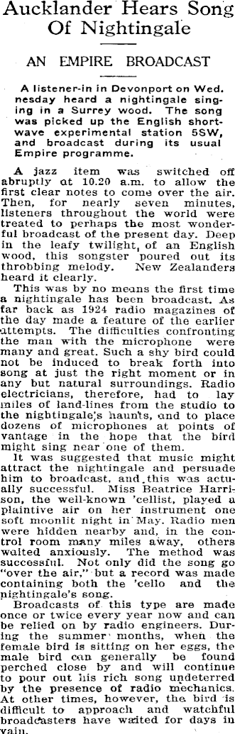 Article image