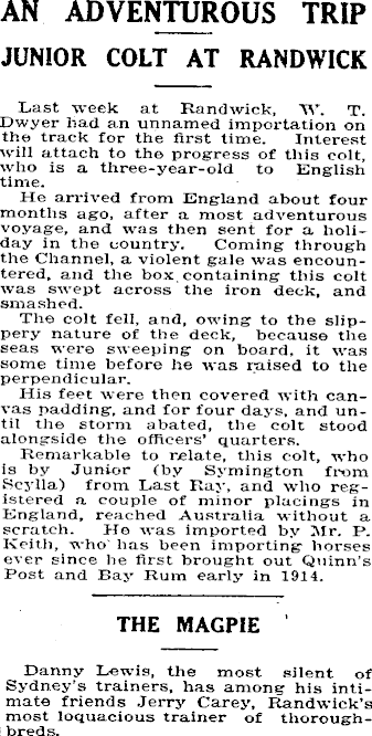 Article image