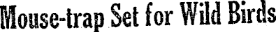 Article image