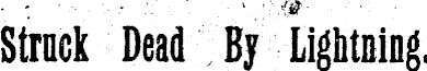 Article image