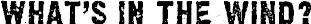 Article image