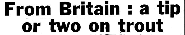 Article image