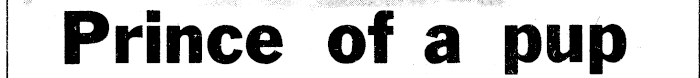 Article image