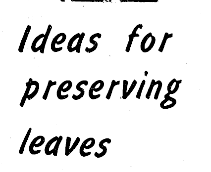 Article image