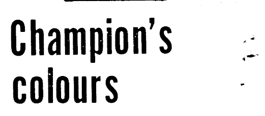 Article image