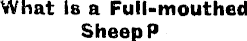 Article image