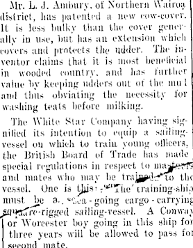 Article image