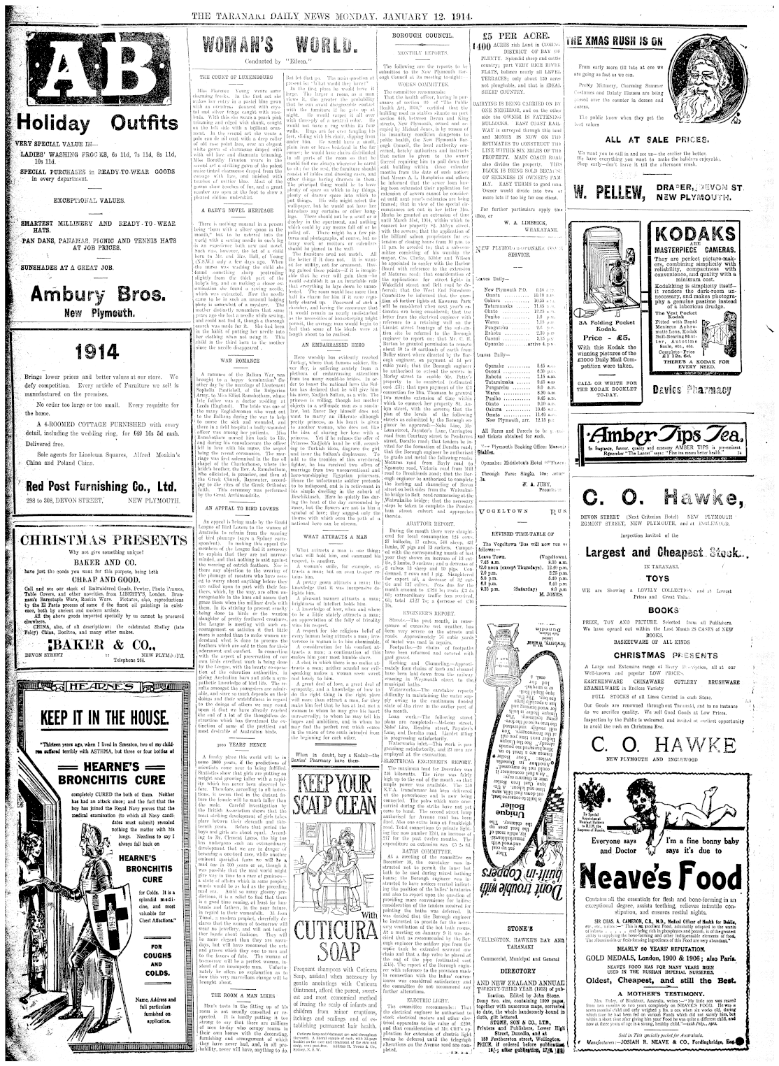 Page image