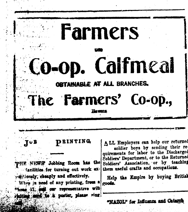Article image