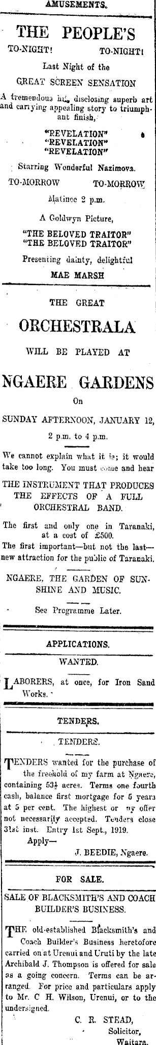 Article image