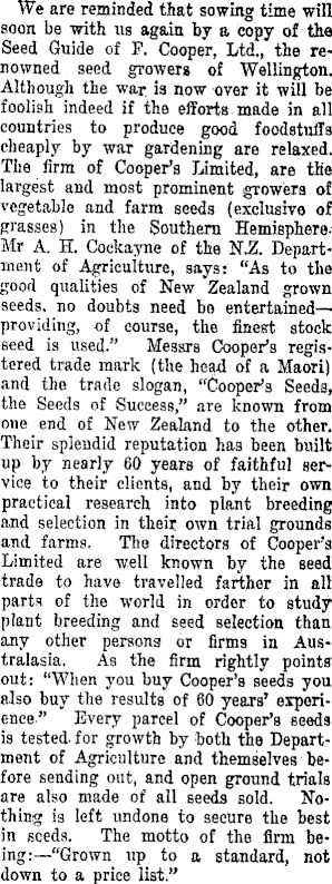 Article image
