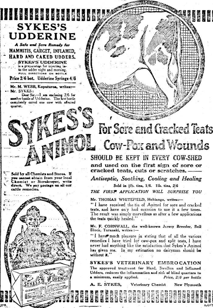 Article image