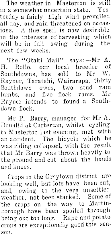 Article image