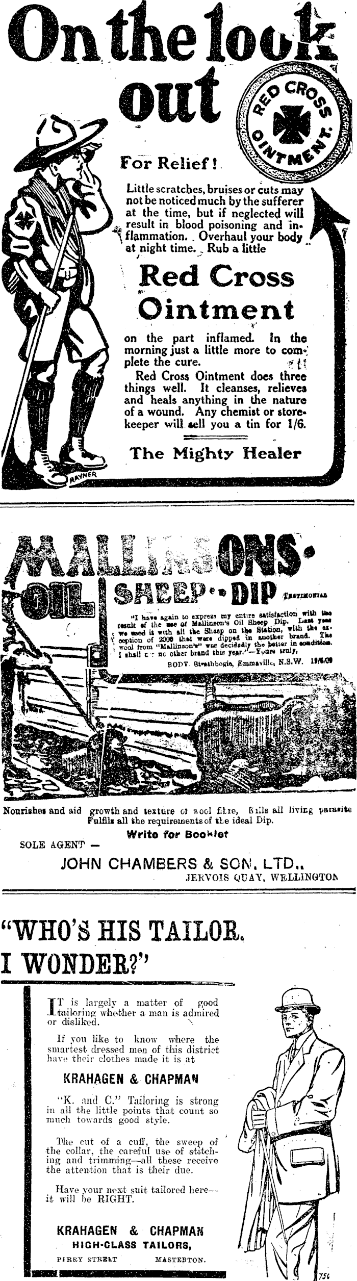 Article image