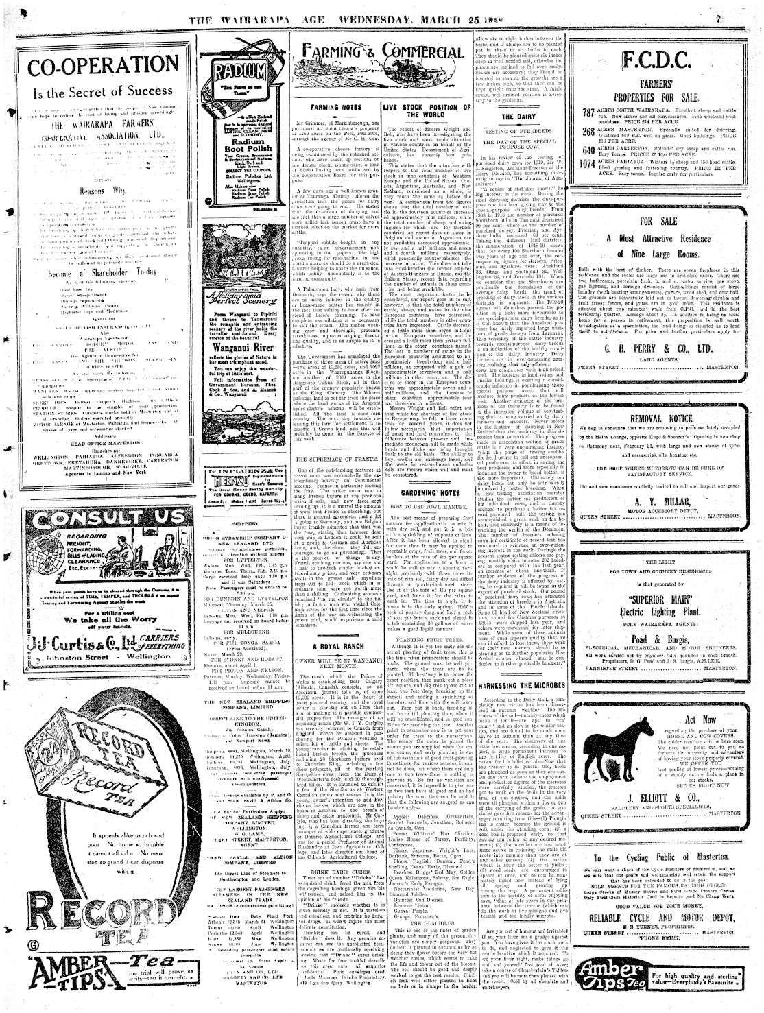 Page image