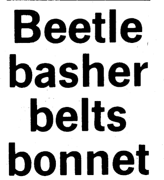 Article image