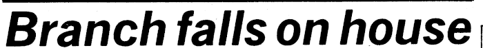 Article image