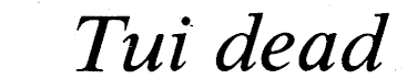 Article image