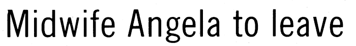 Article image