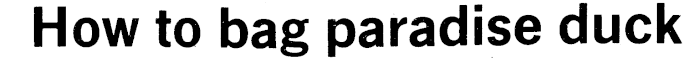 Article image