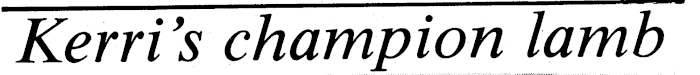 Article image