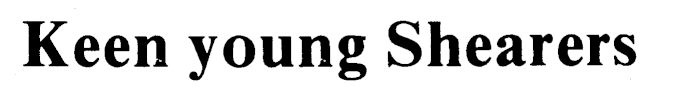 Article image