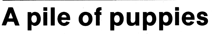 Article image