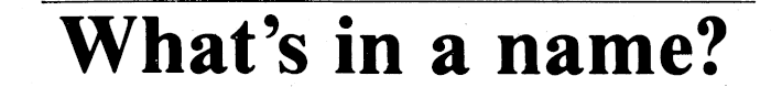 Article image