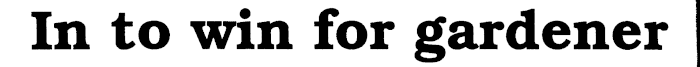 Article image