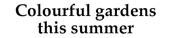 Article image
