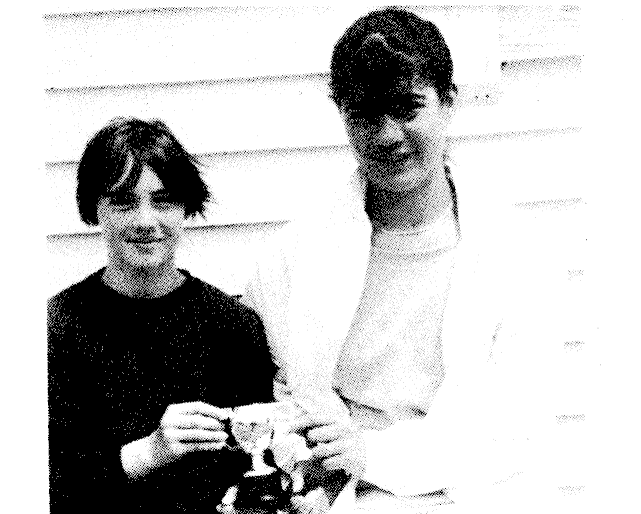 Article image