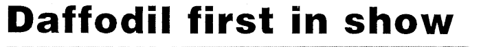 Article image