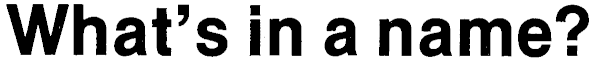 Article image