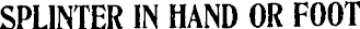 Article image