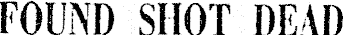 Article image