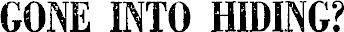 Article image