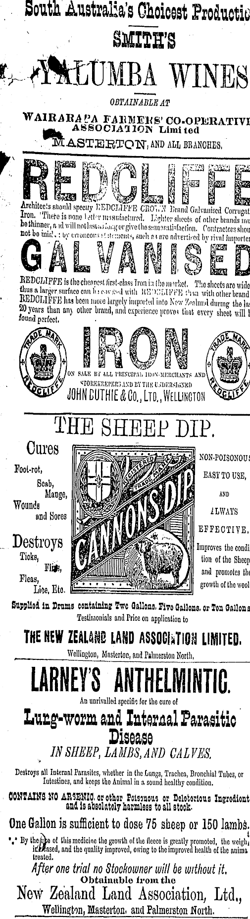 Article image
