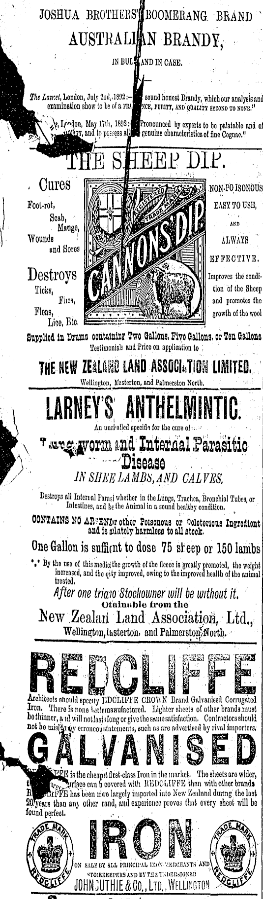 Article image
