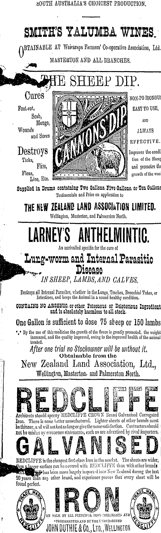 Article image