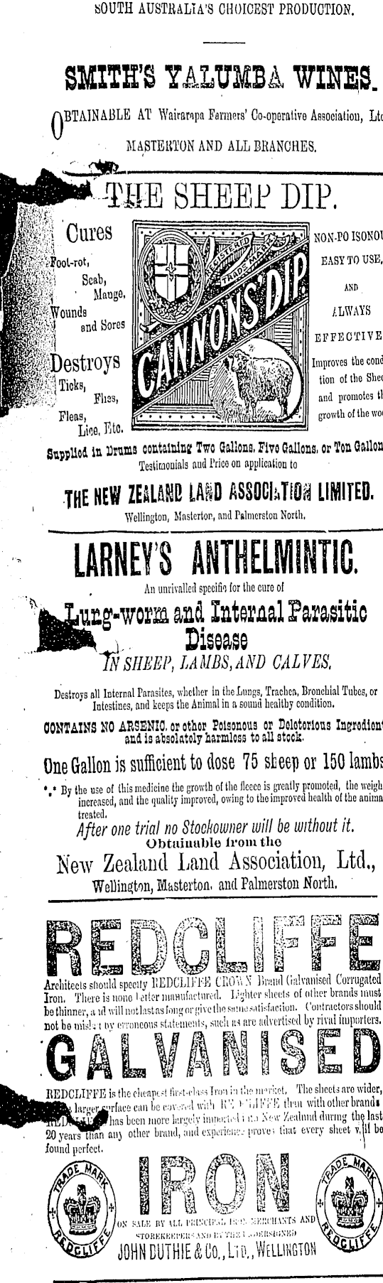 Article image