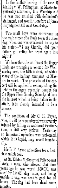 Article image