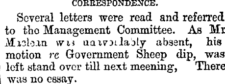 Article image