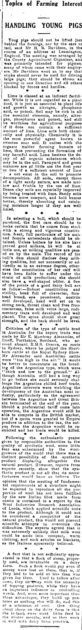 Article image